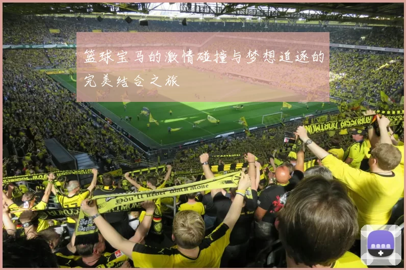 篮球宝马的激情碰撞与梦想追逐的完美结合之旅