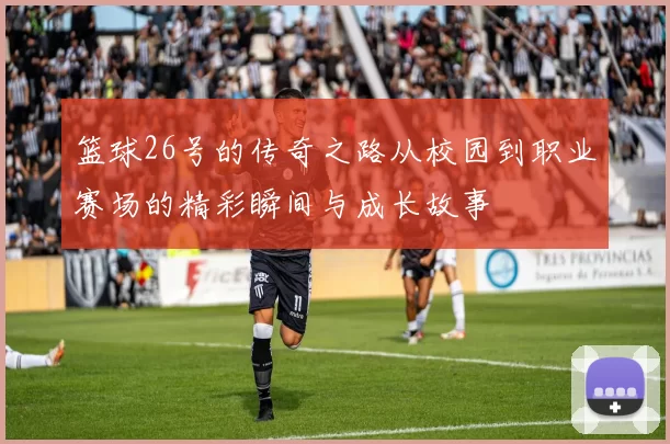 篮球26号的传奇之路从校园到职业赛场的精彩瞬间与成长故事